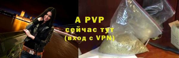 Альфа ПВП Беломорск