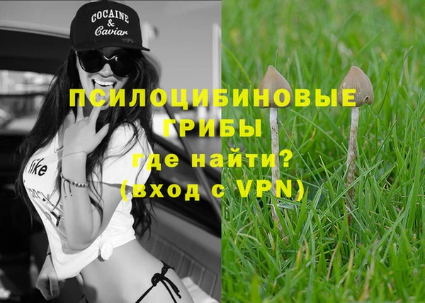 МДПВ Белокуриха