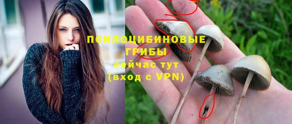 Альфа ПВП Беломорск