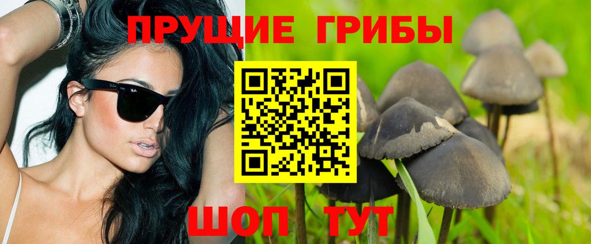 Псилоцибиновые грибы Magic Shrooms Видное