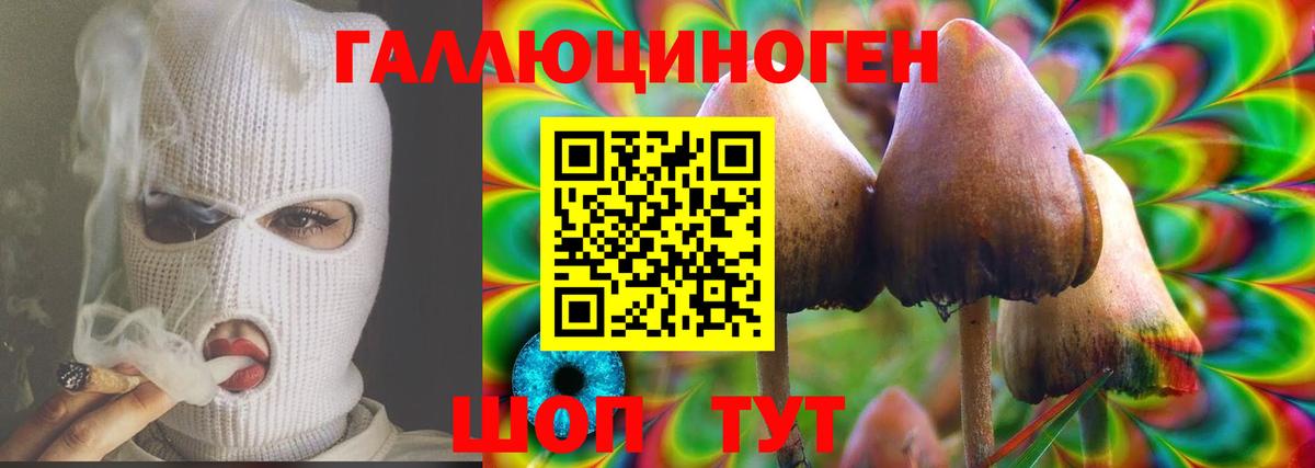 Галлюциногенные грибы мицелий  Видное 