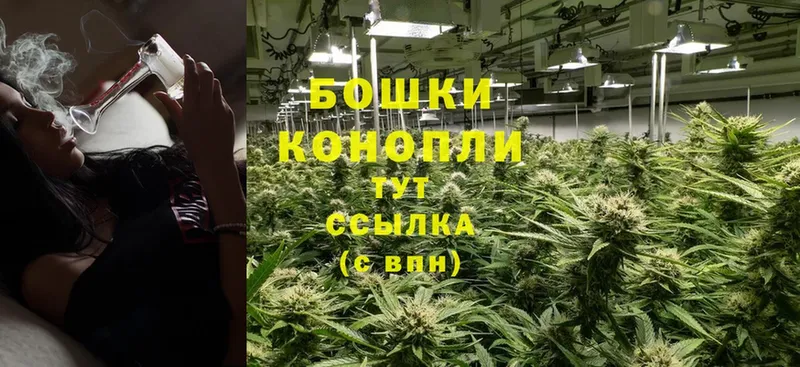 где купить наркоту  Видное  Каннабис семена 