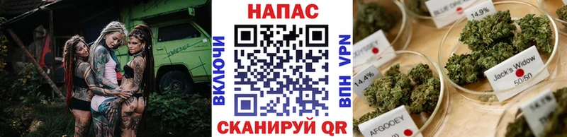 Шишки марихуана Bruce Banner  ссылка на мегу как зайти  Видное 